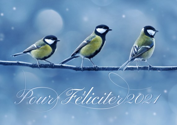 Vánoční přání A6kl-11 a6kl-11