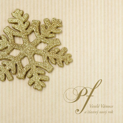 Čtvercové Vánoční přání 111 ct-111