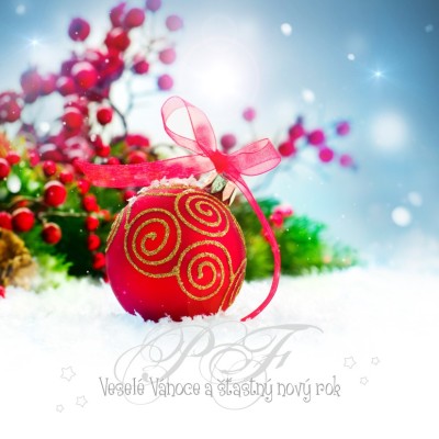 Čtvercové Vánoční přání 131 ct-131