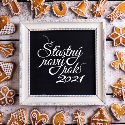 Čtvercové Vánoční přání 169 ct-169