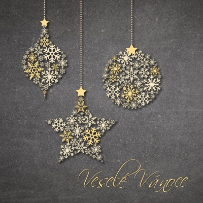 Čtvercové Vánoční přání 176 ct-176