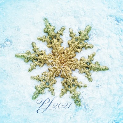 Čtvercové Vánoční přání 232 ct-232