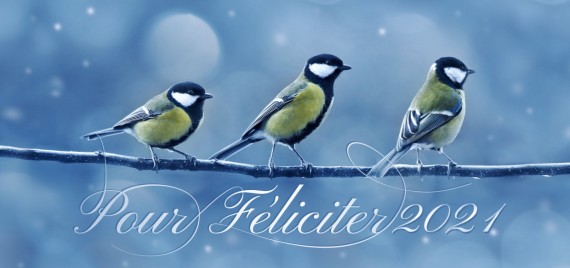 Vánoční přání DLKL-47 dlkl-47