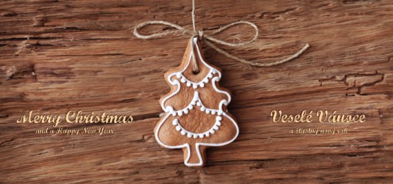 Vánoční přání DLKL-59 dlkl-59