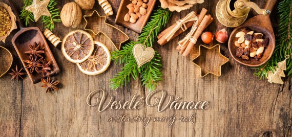 Vánoční přání DLKL-73 dlkl-73