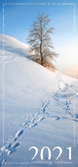 Vánoční přání DLKS-5 dlks-5