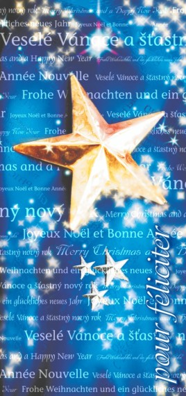 Vánoční přání DLKS-8 dlks-8