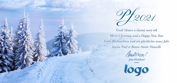 Vánoční přání na šířku 169 dll-169