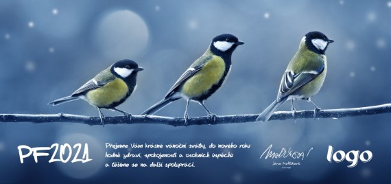 Vánoční přání na šířku 227 dll-227