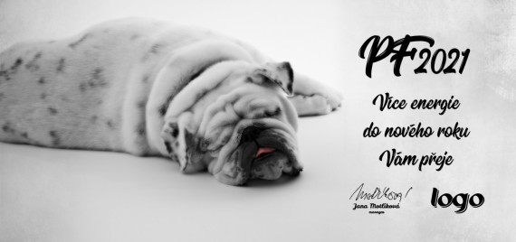 Vánoční přání na šířku 457 dll-457