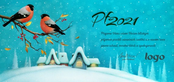 Vánoční přání na šířku 505 dll-505