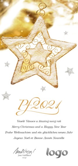 Vánoční přání na výšku 156 dls-156