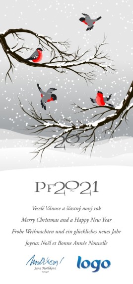 Vánoční přání na výšku 172 dls-172