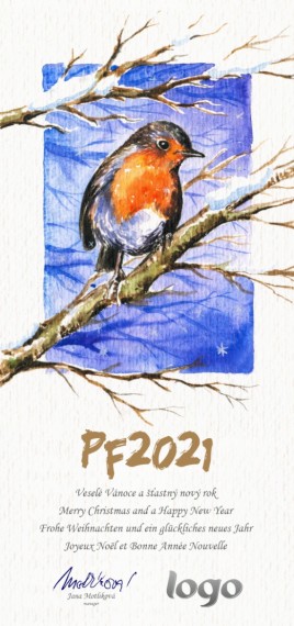 Vánoční přání na výšku 183 dls-183