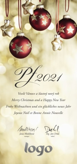 Vánoční přání na výšku 191 dls-191