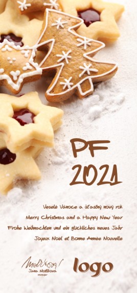 Vánoční přání na výšku 197 dls-197