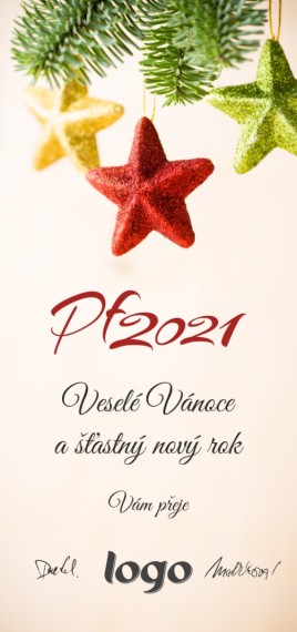 Vánoční přání na výšku 217 dls-217