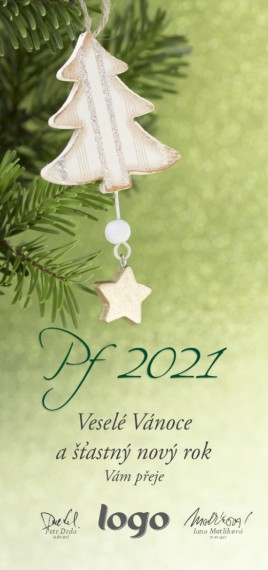 Vánoční přání na výšku 219 dls-219