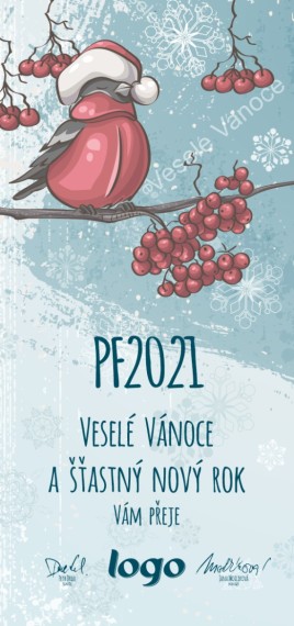 Vánoční přání na výšku 256 dls-256