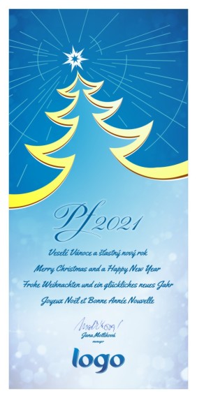 Vánoční přání na výšku 89 dls-89