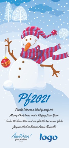 Vánoční přání na výšku 91 dls-91