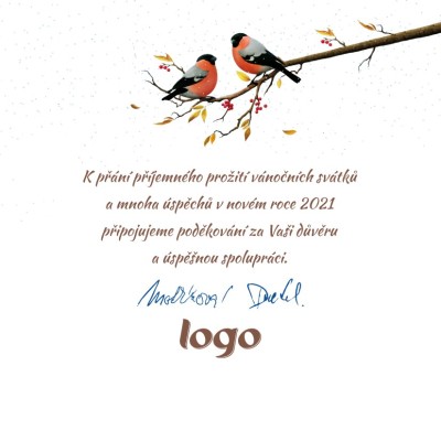 Čtvercov&eacute; V&aacute;nočn&iacute; př&aacute;n&iacute; 166