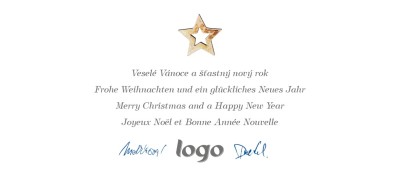 V&aacute;nočn&iacute; př&aacute;n&iacute; DLKL-48